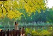 九州手游娱乐游戏开发-重塑娱乐边界，九州手游的创意开发之旅